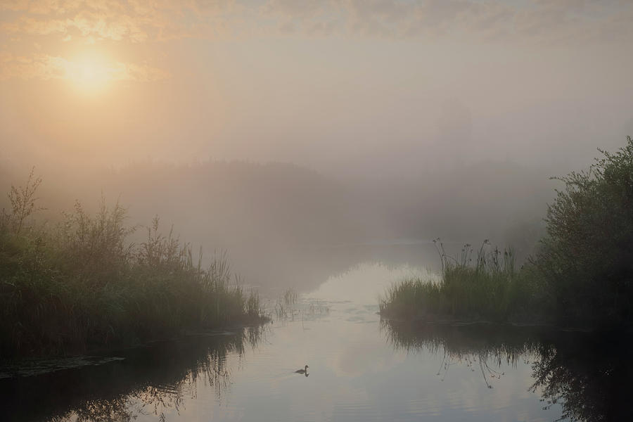 Thorhild County Pond Photograph by Dan Jurak