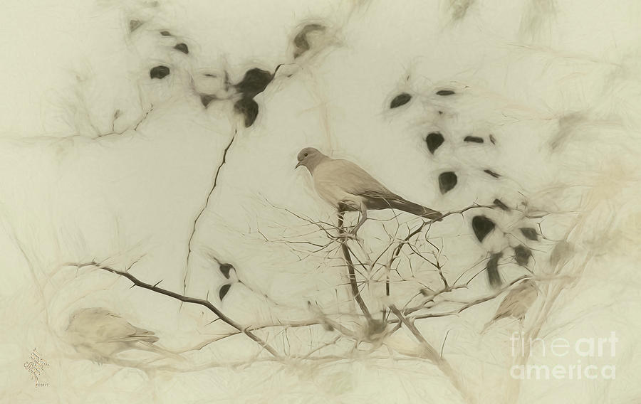 Thorn Birds Digital Art by Syed Muhammad Munir ul Haq