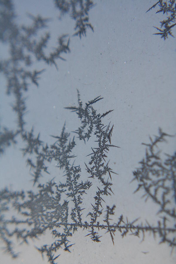 Thorns of Ice Photograph by Rachelle Johnston