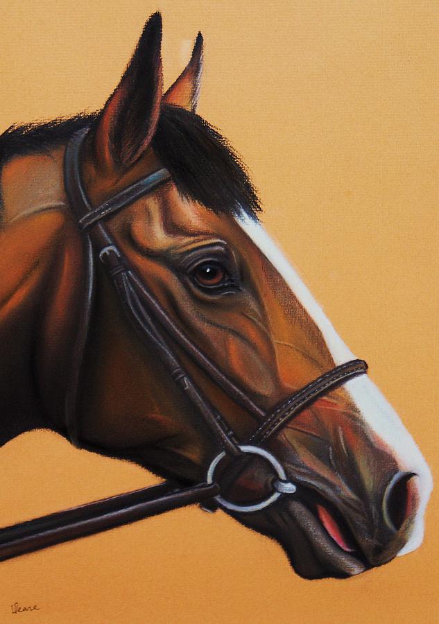 Horse Pastel - Thoroughbred horse by Lucy Deane
