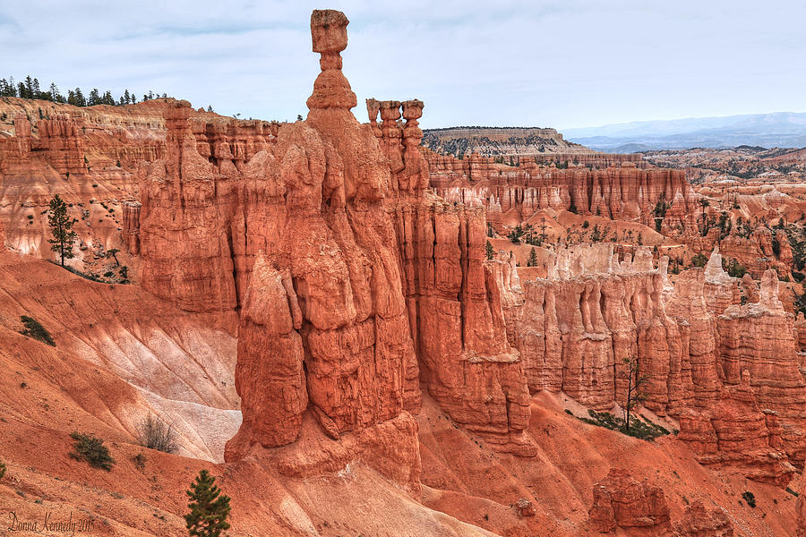 Nature Photograph - Thors Hammer at Bryce Canyon by Donna Kennedy