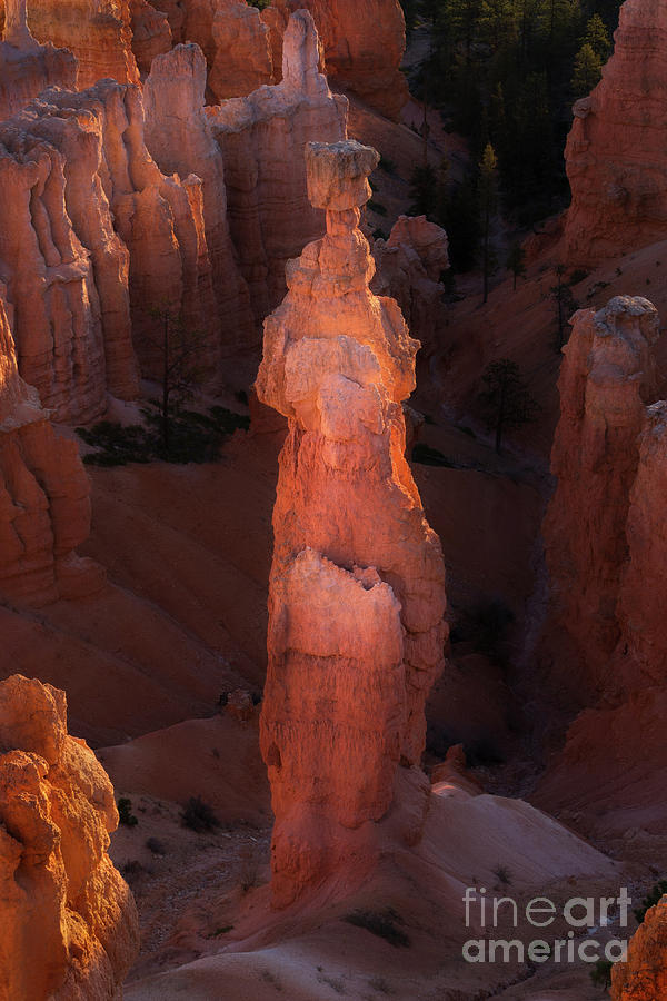 Thors Hammer Bryce Canyon Photograph by Jerry Fornarotto