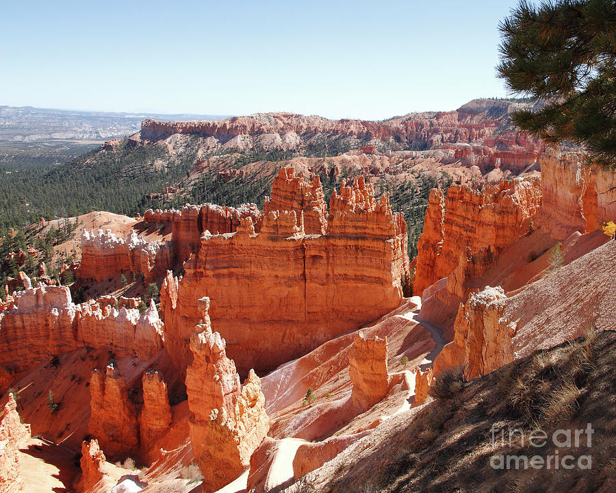 Thors Hammer - Bryce Canyon NP Photograph by Malcolm Howard