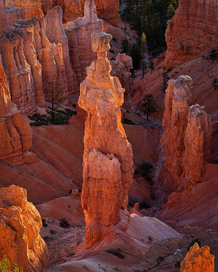 Thors Hammer, Bryce National Park Photograph by Jerry Fornarotto