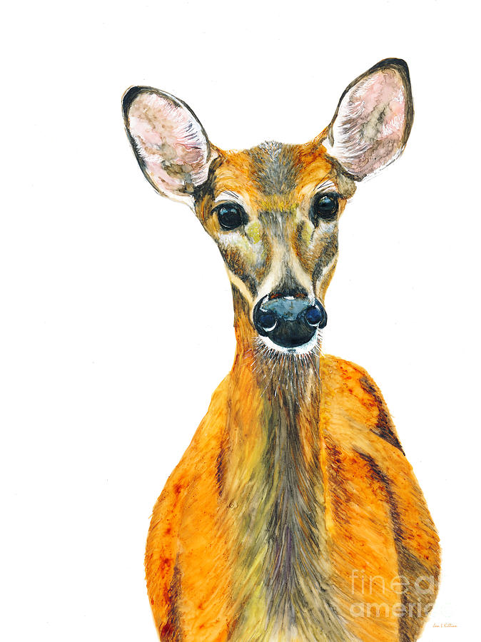 Those Deer Eyes Painting by Jan Killian