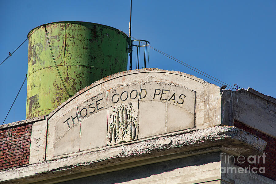 Those Good Peas Photograph by Priscilla Burgers