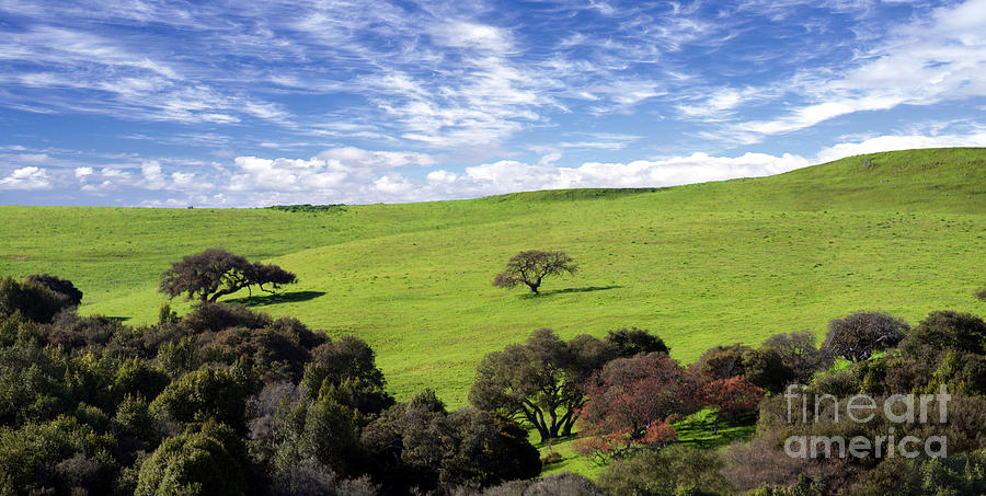 Those wonderful Rolling Hills of Sonoma County California Photograph by Wernher Krutein