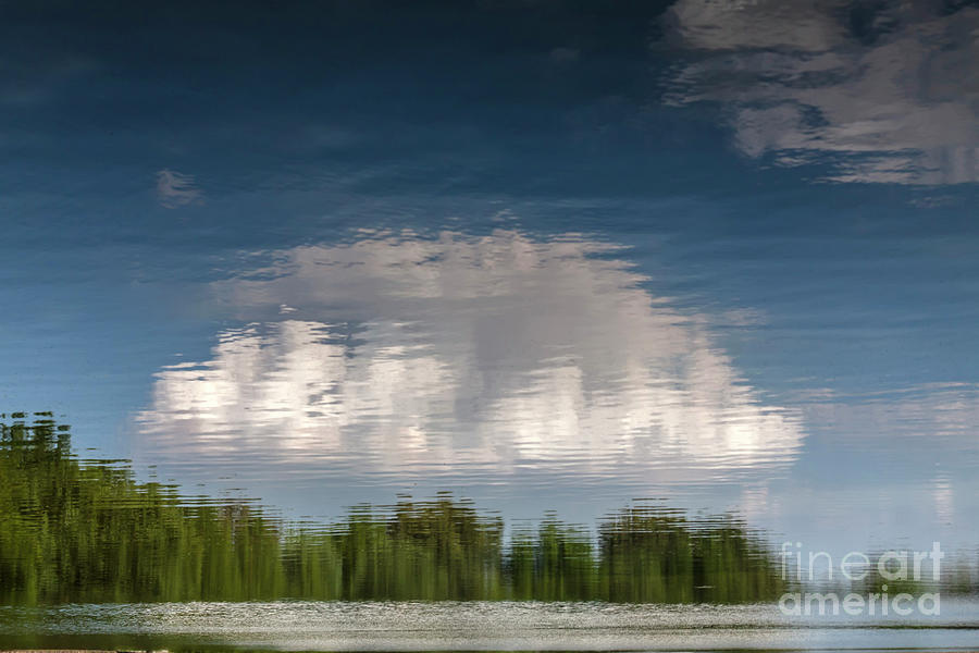 Abstract Photograph - Thought by Larry Braun Abstract Photograph - Thought by Larry Braun