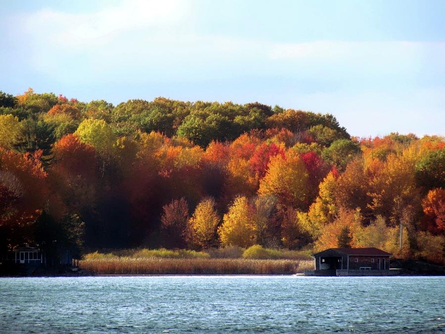 Thousand Island Color Photograph by Dennis McCarthy