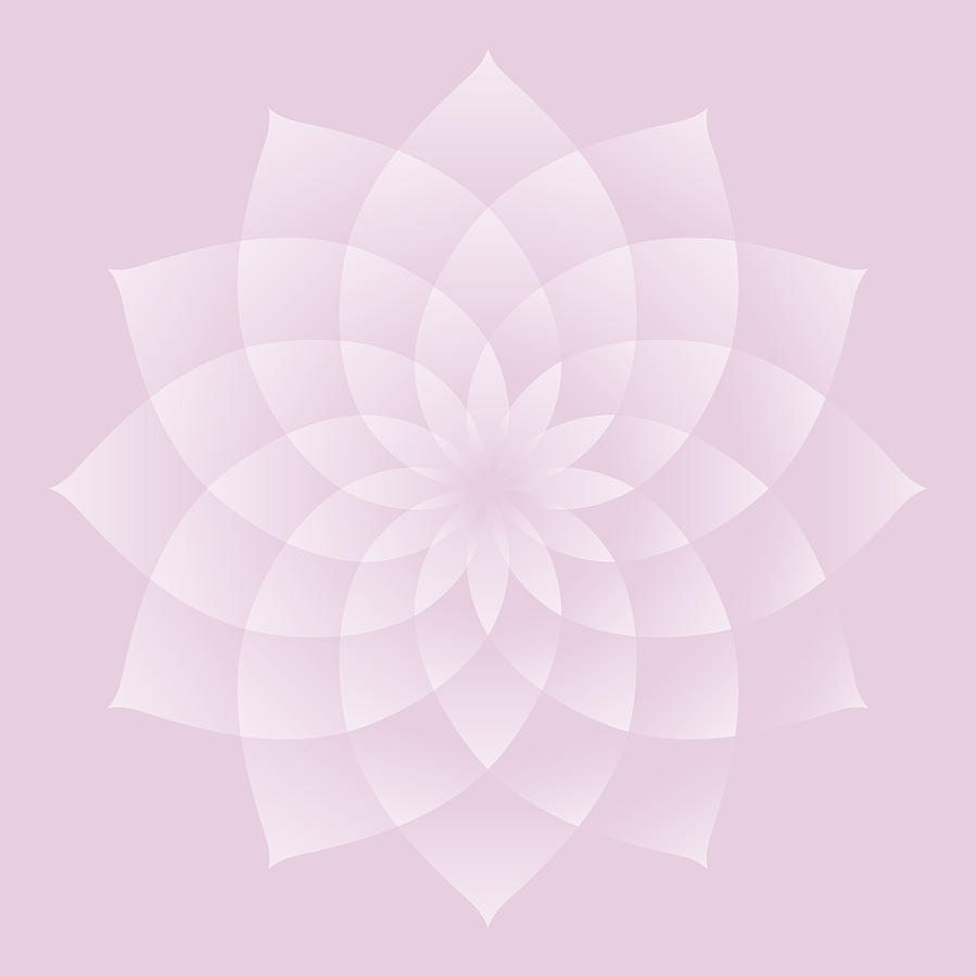 Thousand Petal Lotus in Pink Digital Art by Attila Meszlenyi