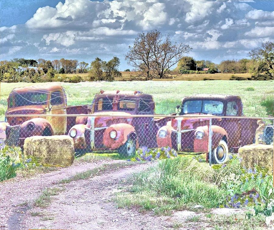 Three 1940 Ford Pickups For Sale Photograph by Janette Boyd