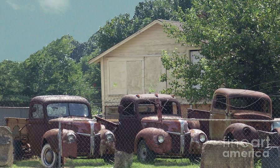 Three 1940 Ford Pickups Photograph by Janette Boyd