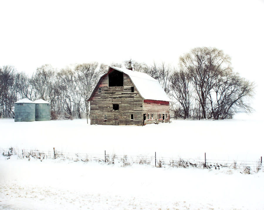 Barn Photograph - Three Amigos by Julie Hamilton
