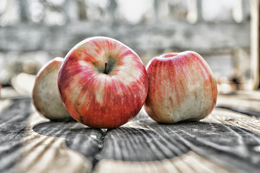 Three Apples Photograph by Sharon Popek