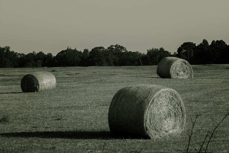 Three Bales of Hay Photograph by Eugene Campbell