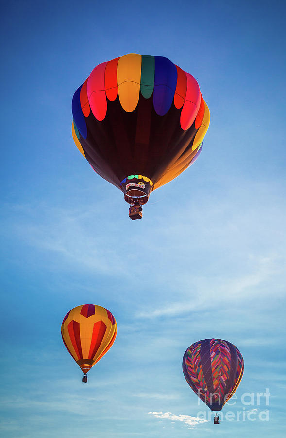 Three Balloons Photograph by Inge Johnsson