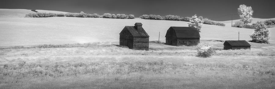 Three Barns Idle Photograph by Jon Glaser