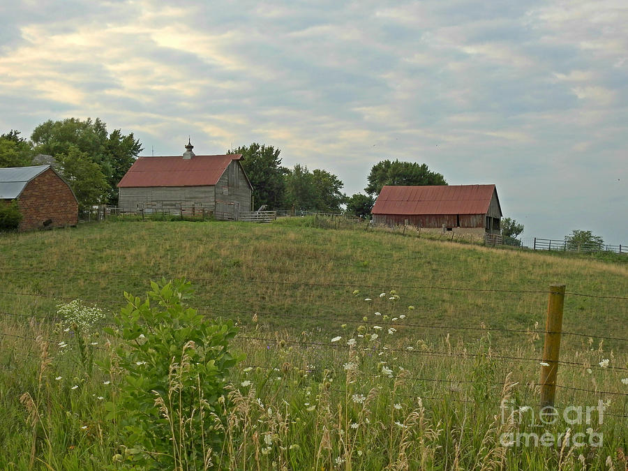 Three Barns On a Hill Photograph by Kathy M Krause