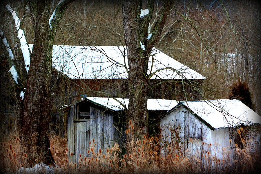 Three Barns Photograph by Susie Weaver