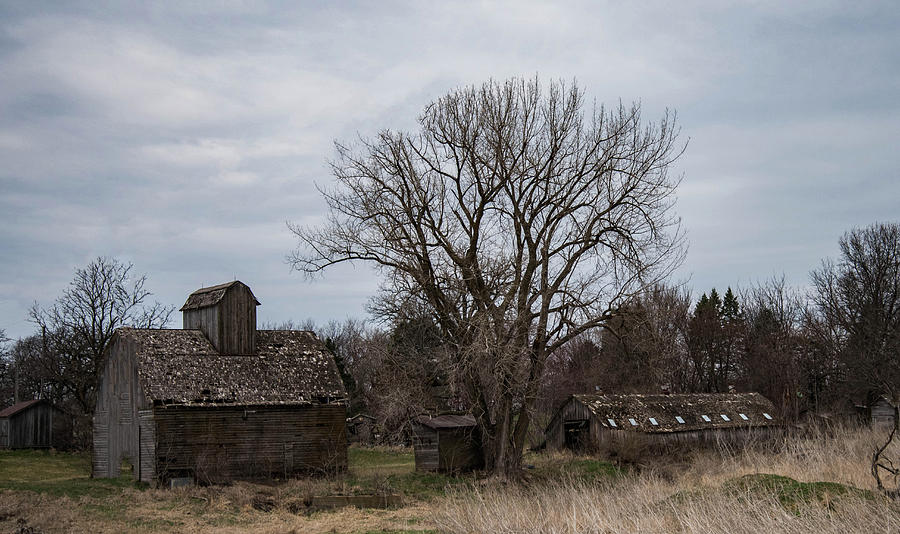 Three Barns Photograph by Wendy Carrington