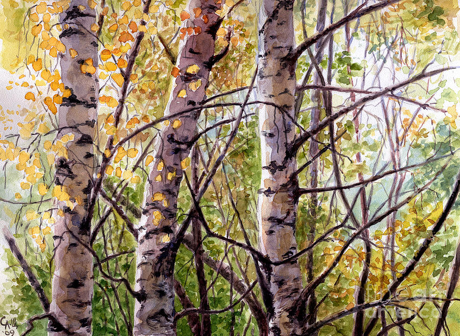 Three birches  Painting by Svetlana Ledneva-Schukina