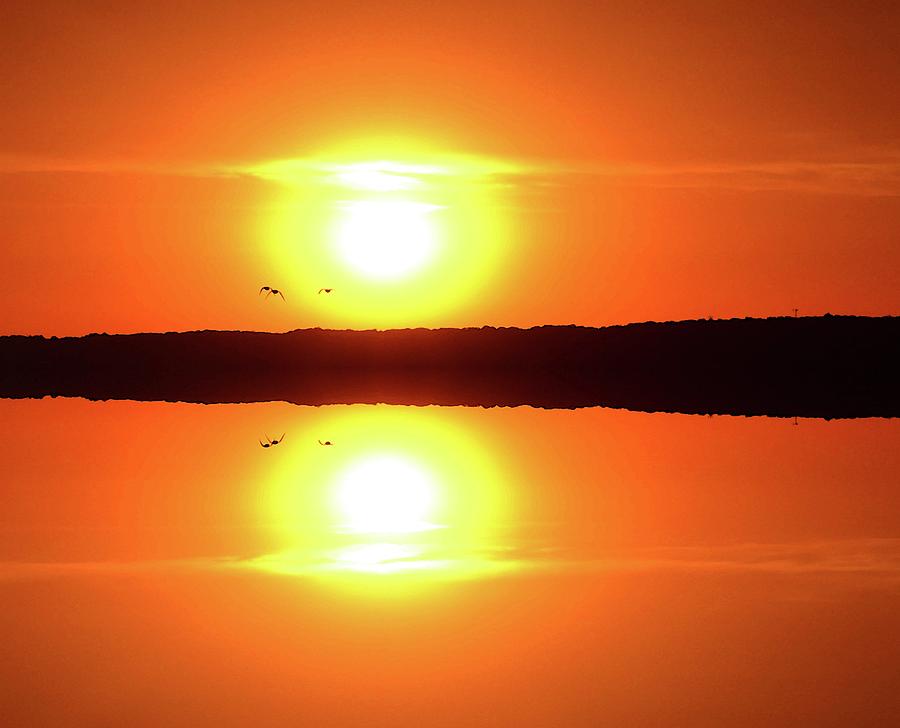 Three Birds Flying At Sunrise Four  Digital Art by Lyle Crump