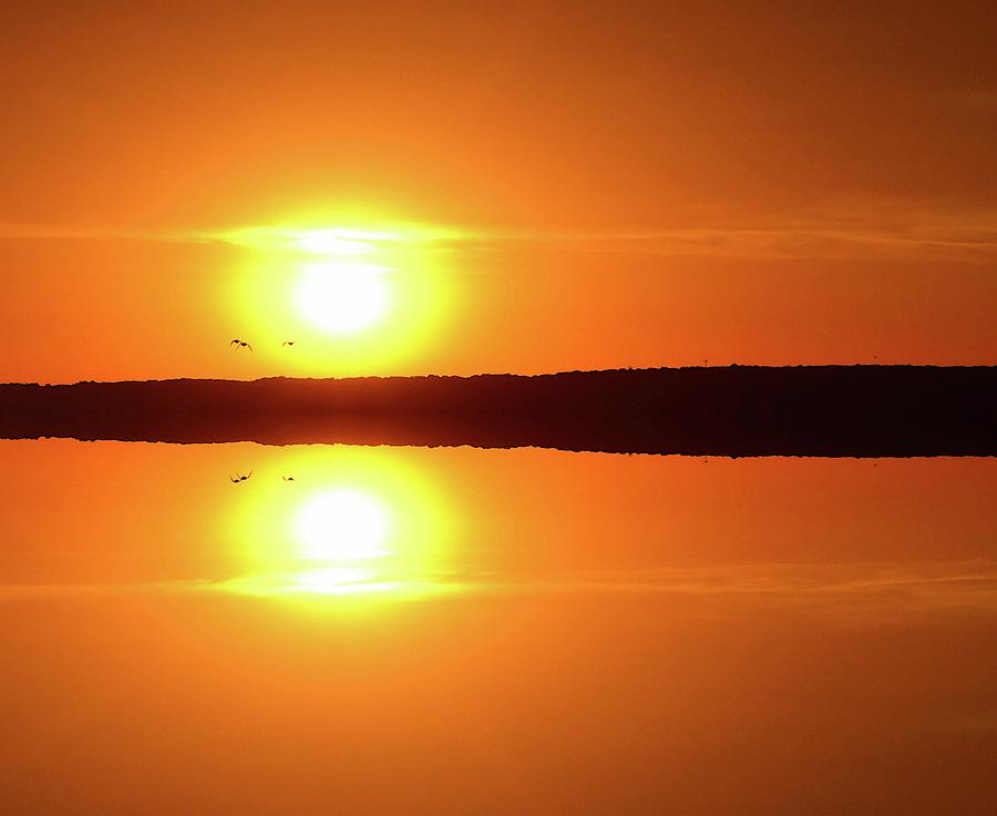 Three Birds Flying At Sunrise Two  Digital Art by Lyle Crump