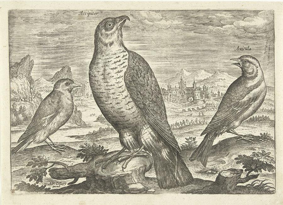 Three Birds In A Landscape, Adriaen Collaert, 1598 - 1602 Painting