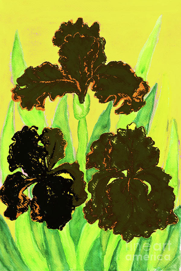 Three black irises, painting Painting by Irina Afonskaya