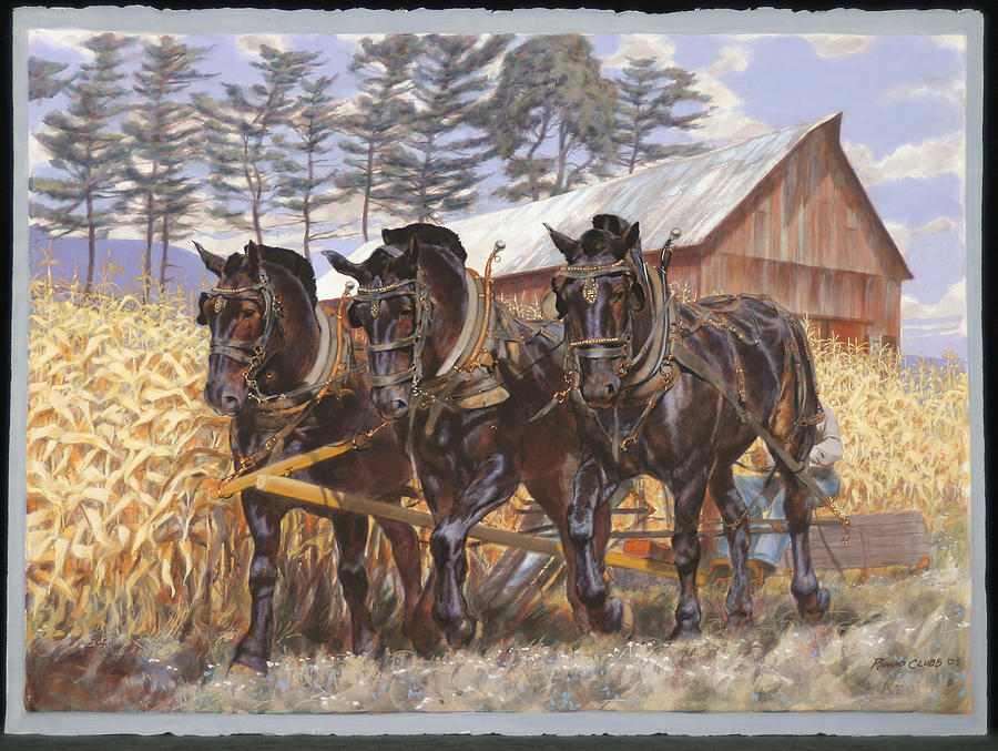 Three Black Percherons Binding Corn Painting by Rick Clubb - Fine Art ...