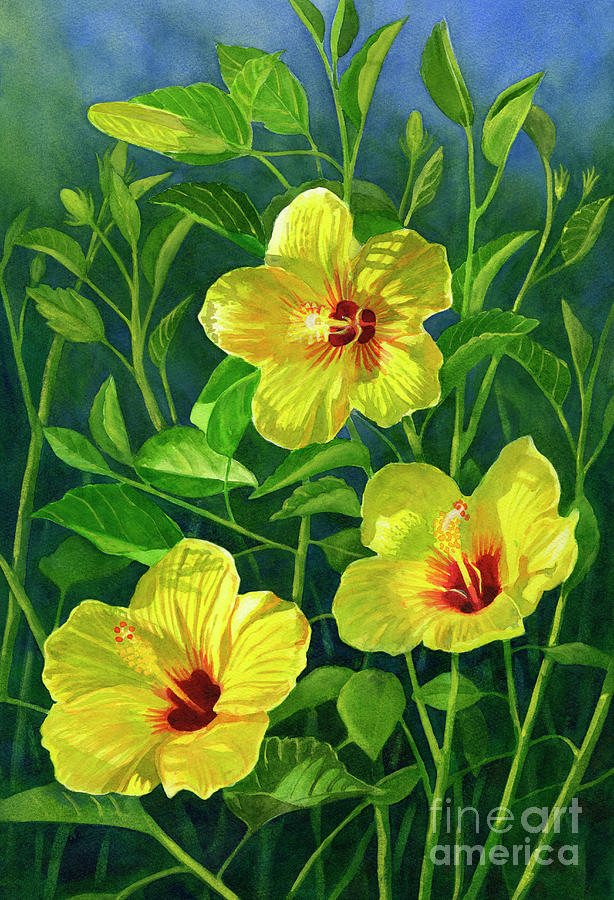 Bright Yellow Hibiscus Flowers Watercolor Painting by Sharon Freeman