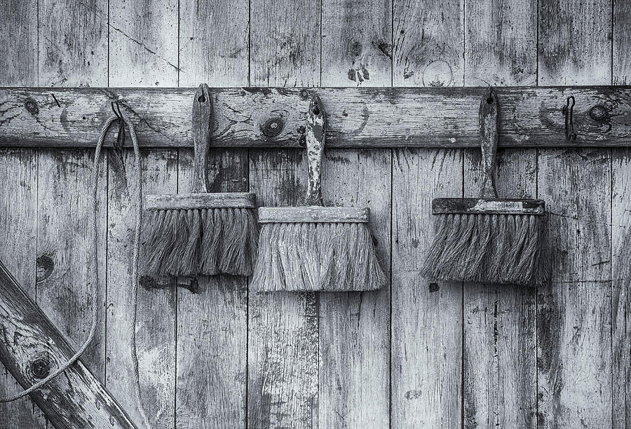 Three Brushes Black and White Photograph by Tom Singleton
