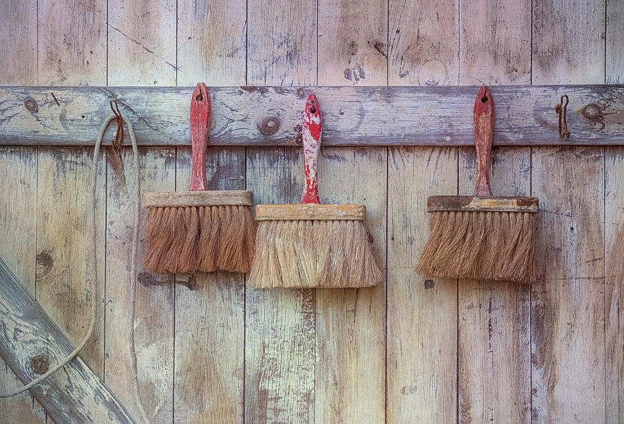 Three Brushes Photograph by Tom Singleton