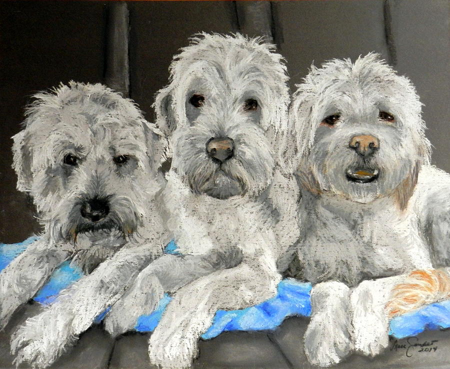Dog Pastel - Three Buddies by Lenore Gaudet
