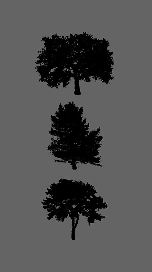 Three Bushy Trees 3 Digital Art by Roy Pedersen