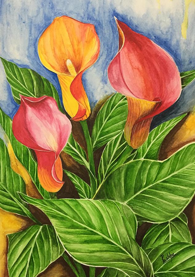 Three Calla Lilies Painting by Pushpa Sharma | Fine Art America