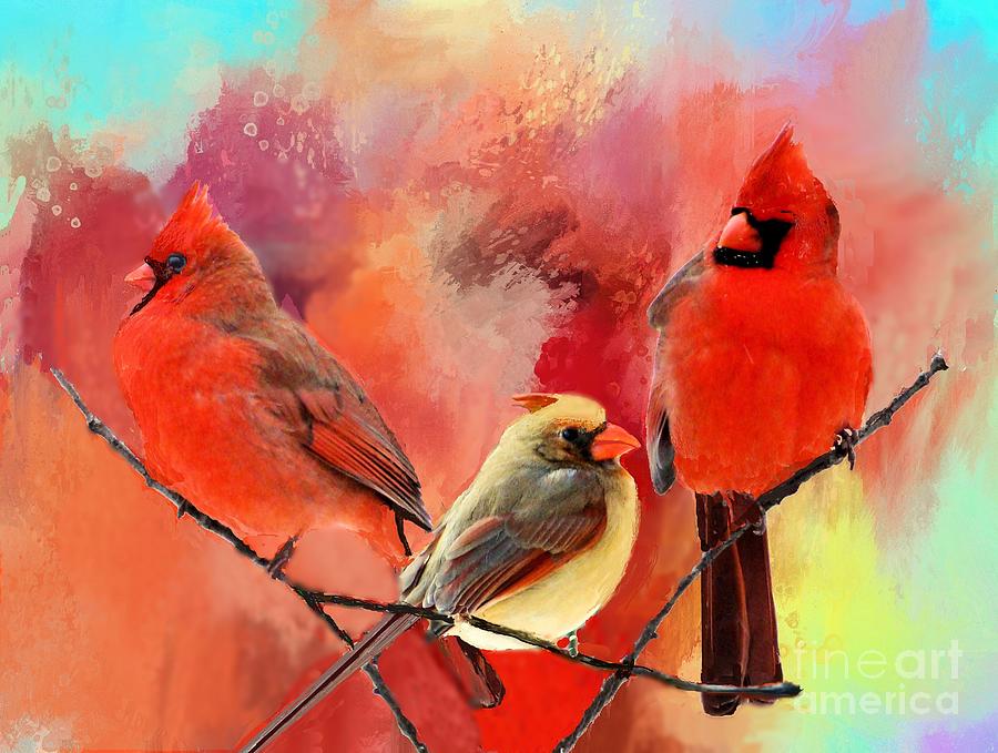 Summer Photograph - Three Cardinals in Summer by Janette Boyd