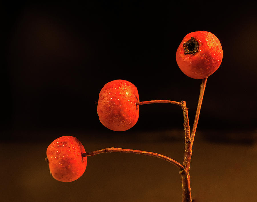 Three Cherries Representing Pawn Photograph by Douglas Barnett