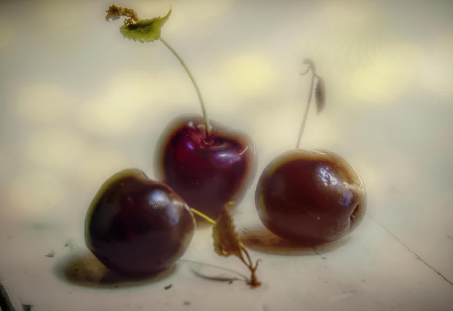 Three Cherries Still Life Photograph by Bellesouth Studio