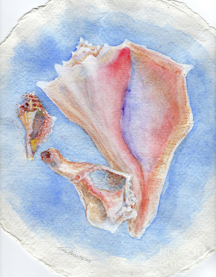 Three Conch Shells 1 Painting by Doris Blessington