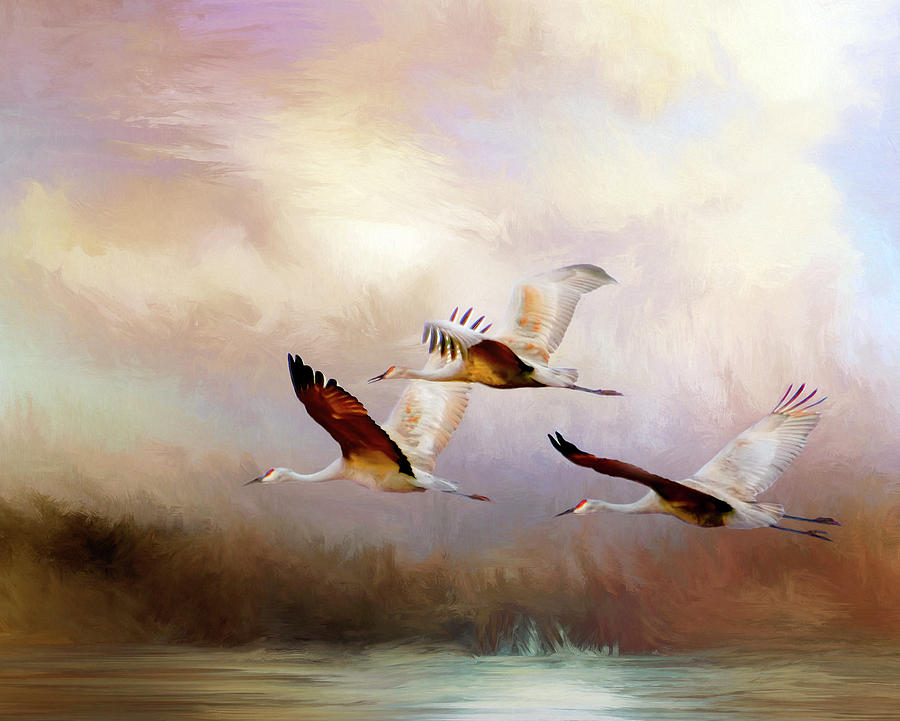 Three Cranes Flying Digital Art by Casey Heisler - Pixels