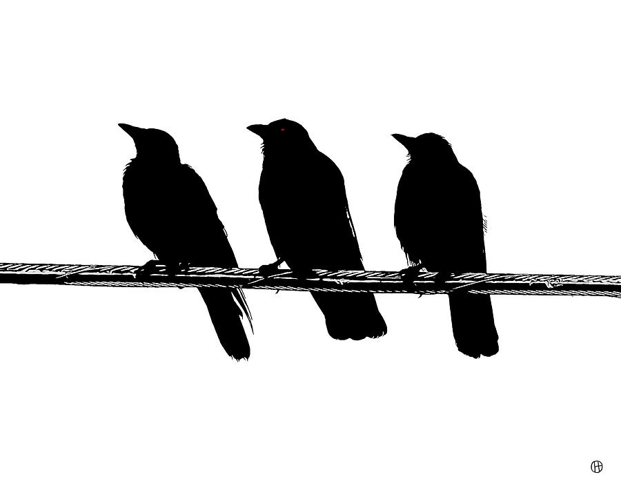 Three Crow Cable Red Eyed Digital Art by Gary Olsen-Hasek