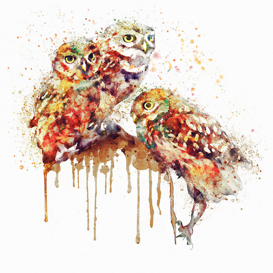 Nature Painting - Three Cute Owls watercolor by Marian Voicu