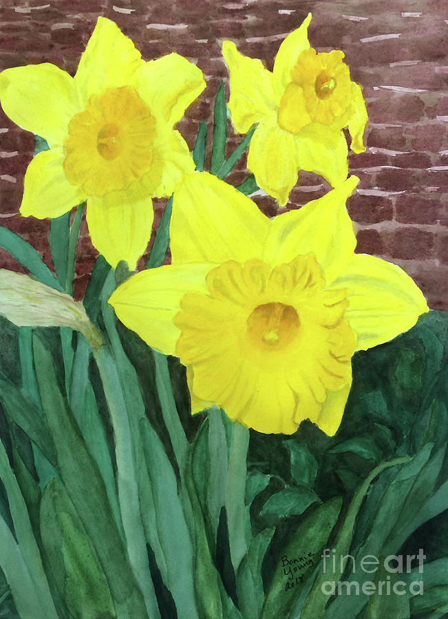 Three Daffodils Painting by Bonnie Young