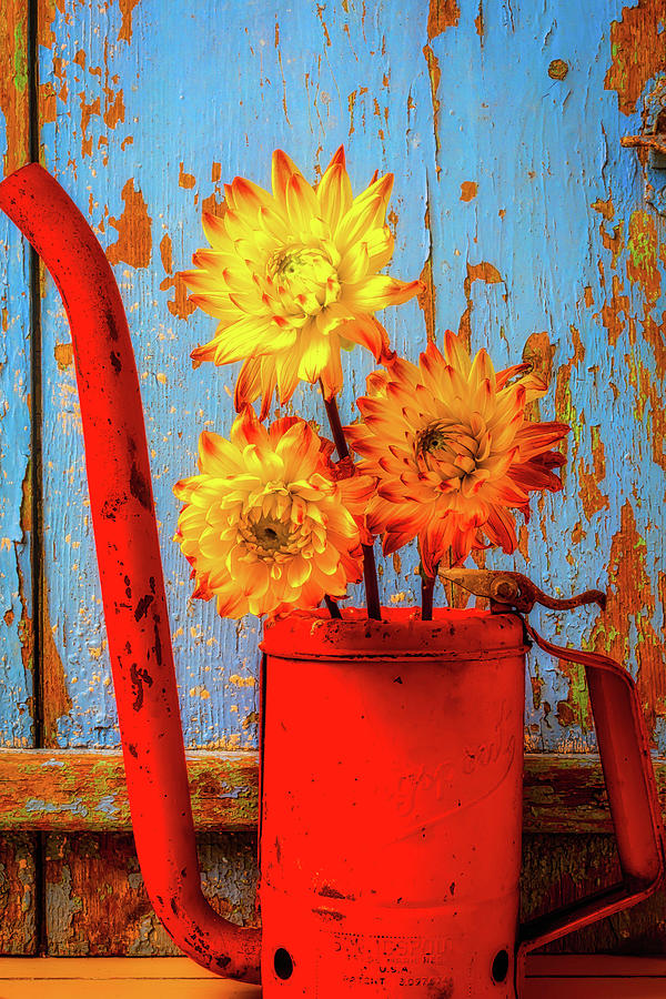 Three Dahlias In Oil Can Photograph by Garry Gay