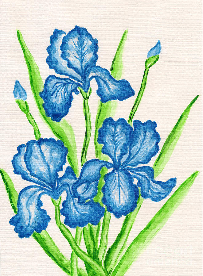 Three dark blue irises Painting by Irina Afonskaya