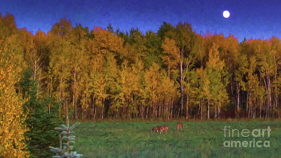 Three Deer and A Moon Digital Art by Lori Dobbs