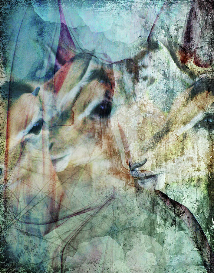 Three Deer Digital Art by Linda Carruth