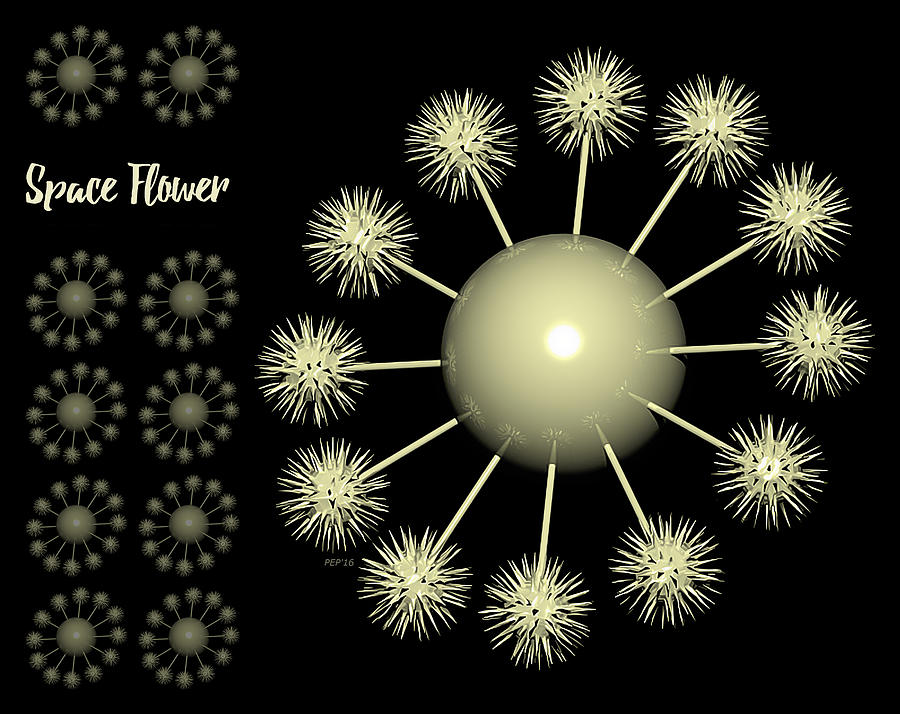Three Dimensional Space Flower Digital Art by Phil Perkins