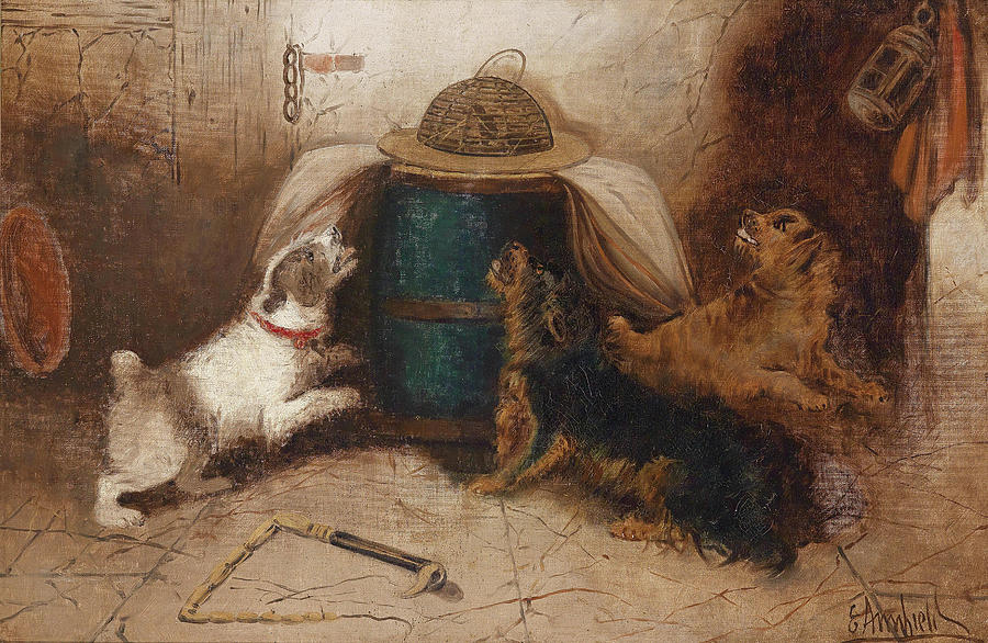 Three Dogs Barking at a Mouse Painting by George Armfield